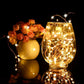 Fairy Light New Year LED Christmas Light Waterproof Copper Wire String Light for