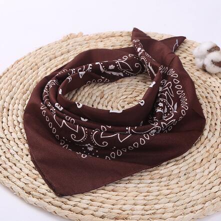 Chocolate Brown Color Hip Hop Paisley Pattern Bandana Men Women Headbands Wraps