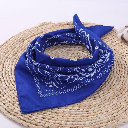 Paisley Royal Blue Hip Hop Bandana Men Women Headbands Wraps Scarves Hair Band