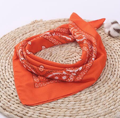 Burnt Orange Paisley Hip Hop Bandana Men Women Headbands Wraps Scarves Hair Band