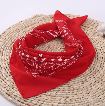 Red Paisley Pattern Hip Hop Bandana Men Women Headbands Wraps Scarves Hair Band