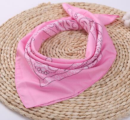 Paisley Pink Girly Hip Hop Bandana Men Women Headbands Wraps Scarves Hair Band