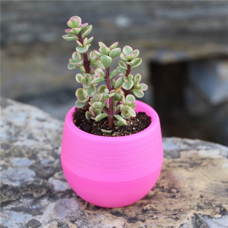 Round plastic plant pot