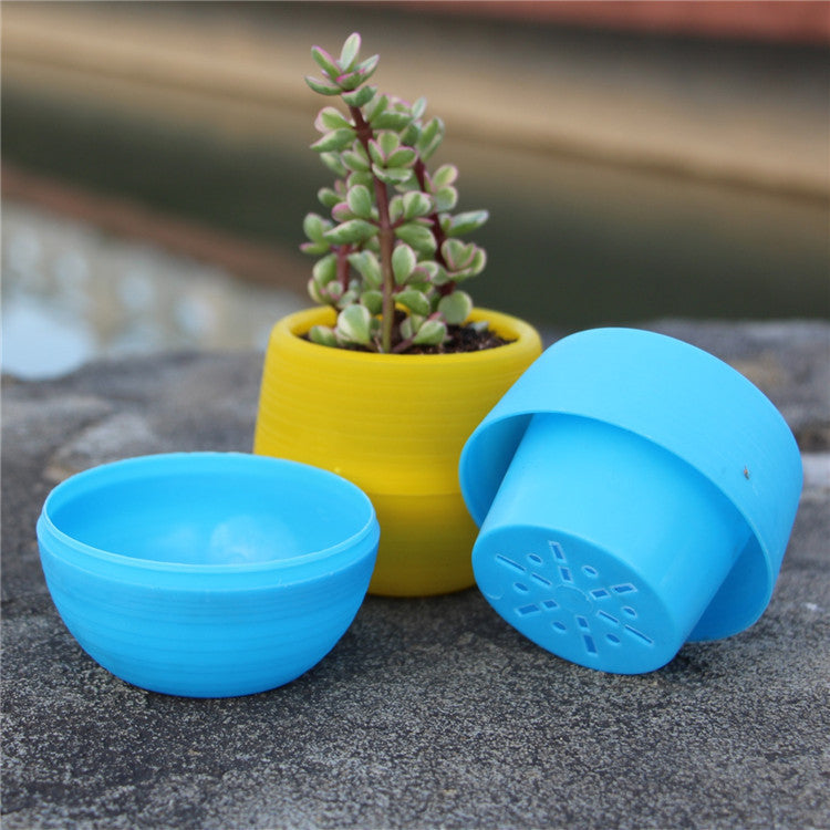 Round plastic plant pot