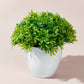 1PC Artificial Plants Bonsai Small Tree Pot Flowers Potted Ornaments Decorations