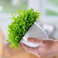 1PC Artificial Plants Bonsai Small Tree Pot Flowers Potted Ornaments Decorations
