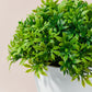 1PC Artificial Plants Bonsai Small Tree Pot Flowers Potted Ornaments Decorations