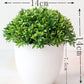 1PC Artificial Plants Bonsai Small Tree Pot Flowers Potted Ornaments Decorations
