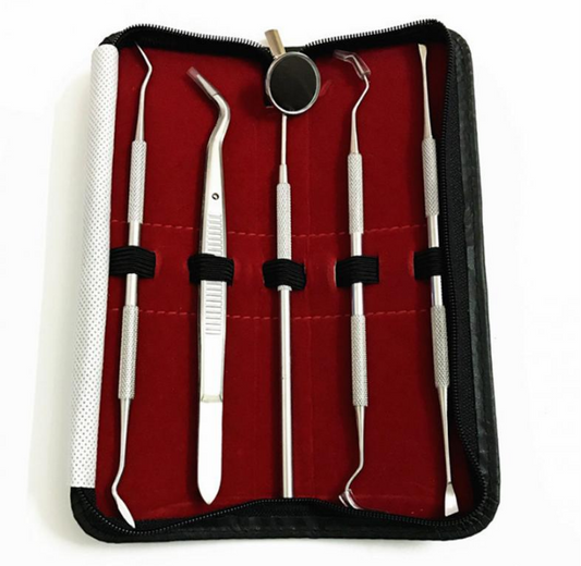 5pc Dental Tool Set Stainless Steel Tooth Scraper Wax Carving Dentist Tool Kit Explorer Probe Picks Mirror Teeth Clean Oral Care