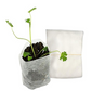 Non-woven seedling bag plant planting bag nutrition bag gardening