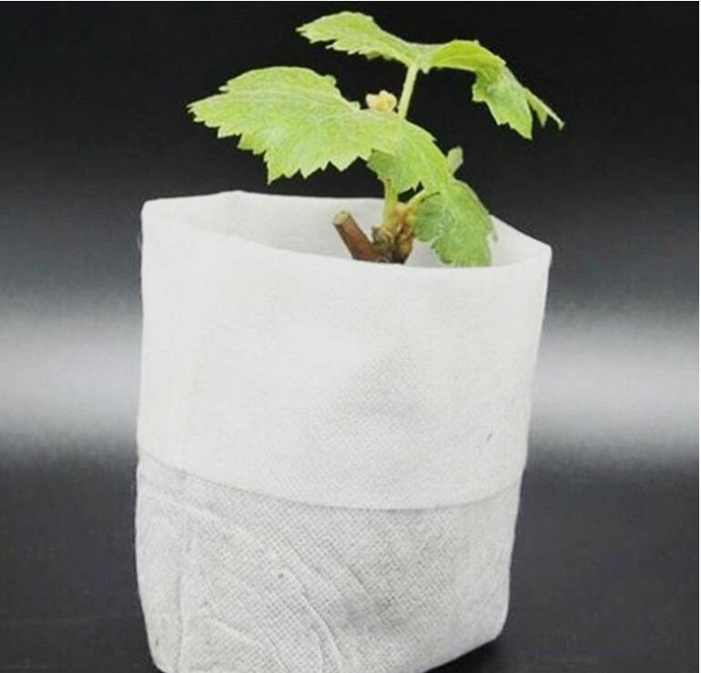 Non-woven seedling bag plant planting bag nutrition bag gardening