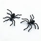 Spider Earrings