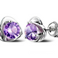 S925 sterling silver Japanese and Korean women's amethyst earrings Crown chrysanthemum dolphins zircon earrings hypoallergenic earrings