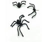 Spider Earrings