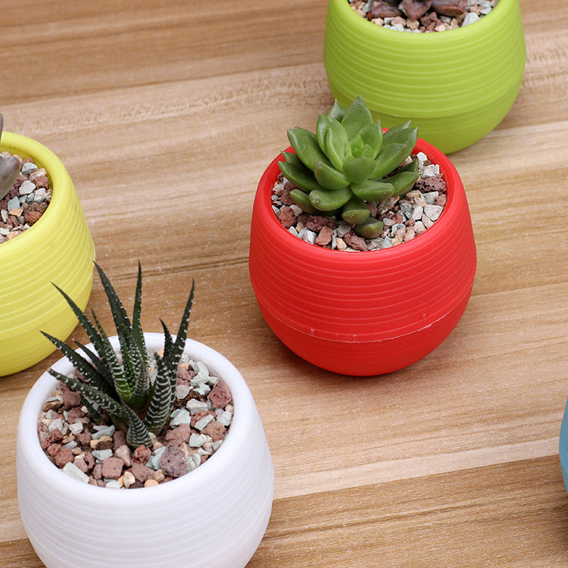 Round plastic plant pot