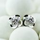 Petal Flower Stud Earrings Female Girl Fashion Earrings Birthday Holiday Gifts