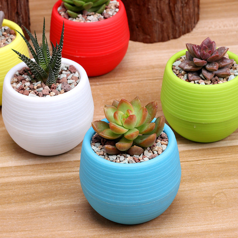 Round plastic plant pot