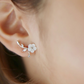Korean Shell Earrings Classic Sterling Silver Needle Earrings Leaf White Flower Water Drop Temperament Earrings