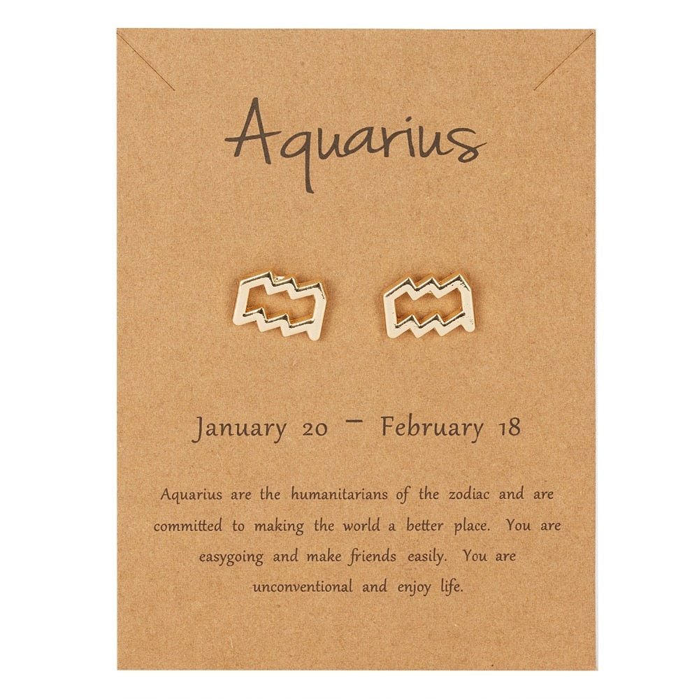 Aquarius Zodiac Constellations Sign Stainless Steel Earrings Women Jewelry Small