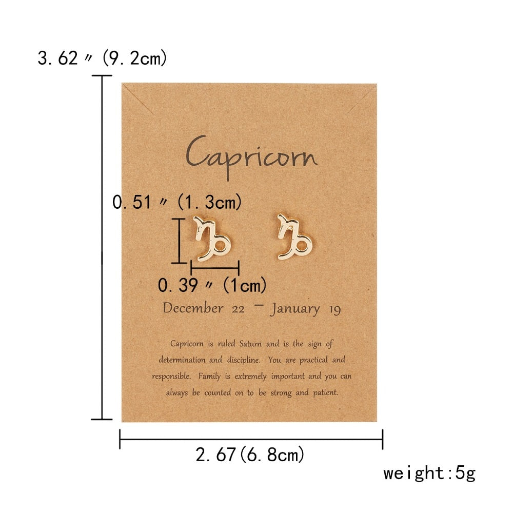 Capricorn Zodiac Constellations Sign Stainless Steel Earrings Women Jewelry