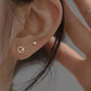Rose Earrings Small Earrings For Women Fashionable Elegant Cool Wind stud