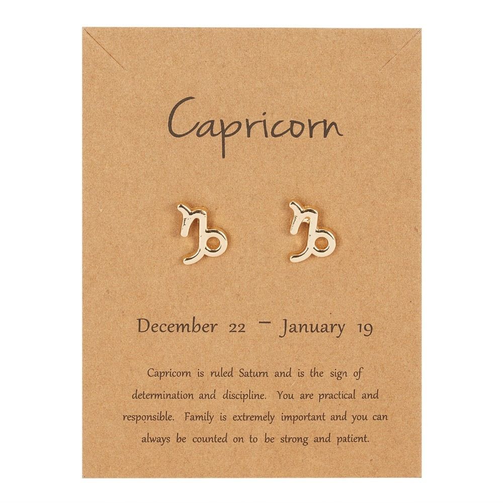 Capricorn Zodiac Constellations Sign Stainless Steel Earrings Women Jewelry