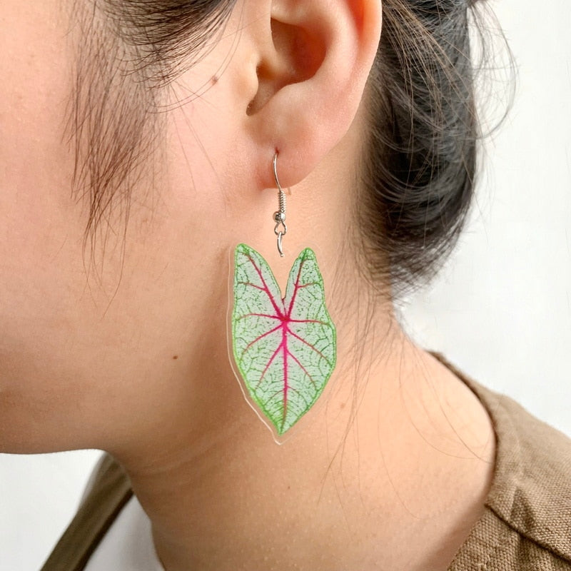 Green Pink Acrylic Botanical Caladium Leaves Drop Earrings Fashion Women Summer