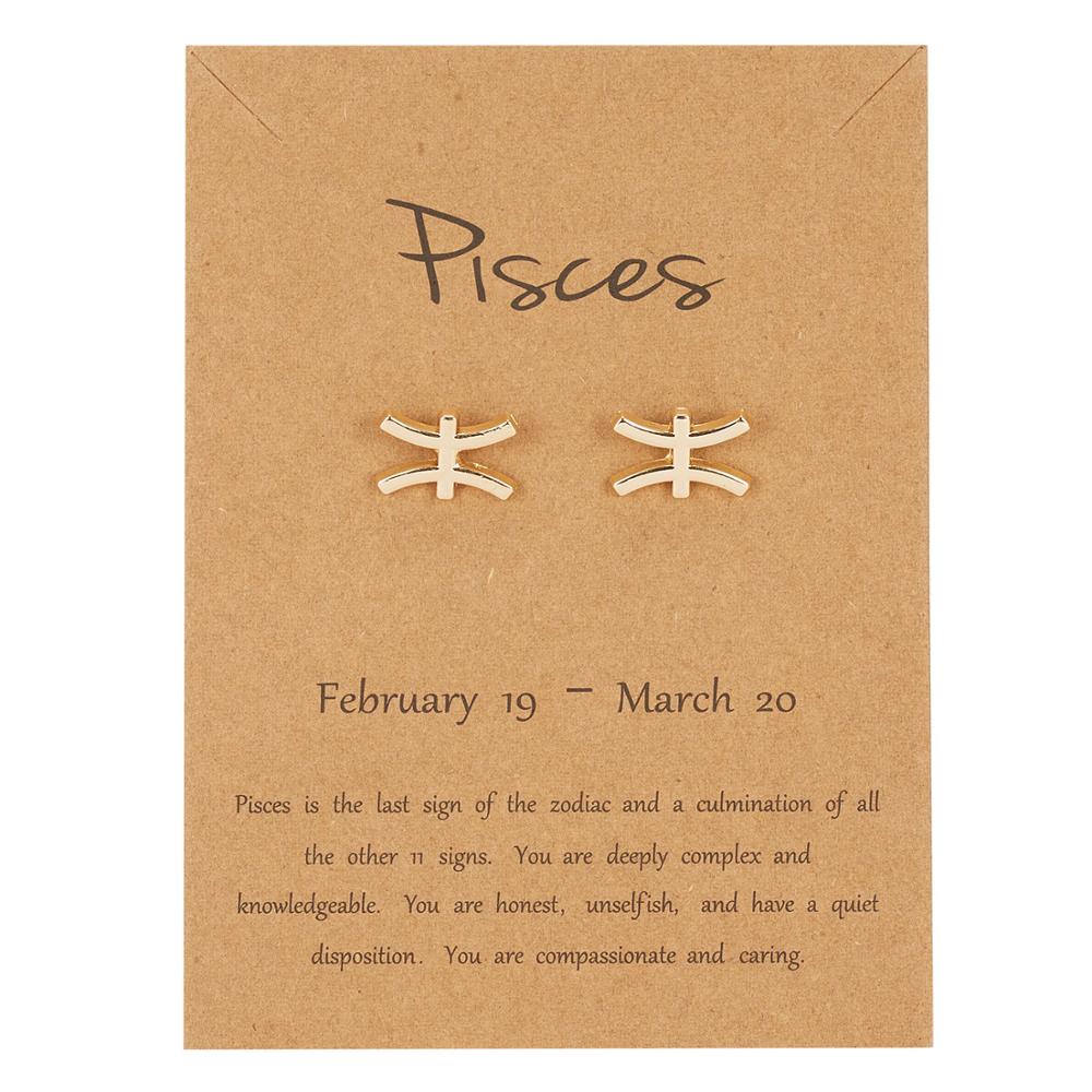 Pisces Zodiac Constellations Sign Stainless Steel Earrings Women Jewelry Small