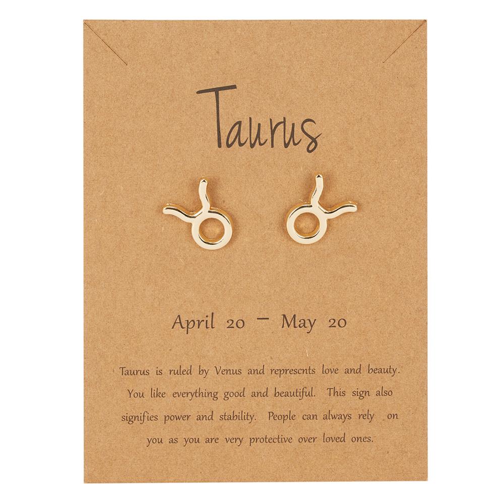 Taurus Zodiac Constellations Sign Stainless Steel Earrings Women Jewelry Small