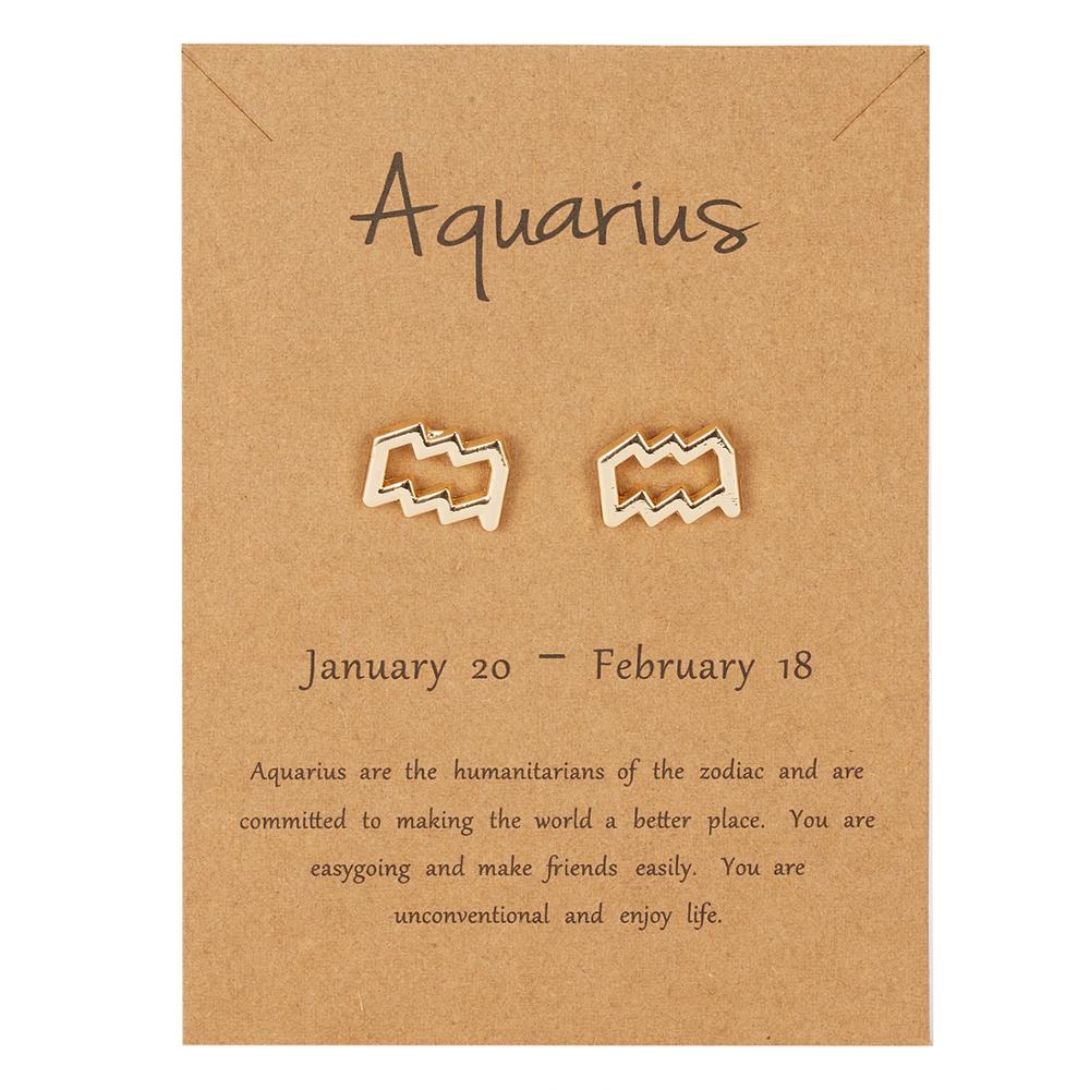 Aquarius Zodiac Constellations Sign Stainless Steel Earrings Women Jewelry Small