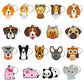 24 Styles Cartoon Dog Breeds Keychain Gift for Dog Owner Cartoon Decoration