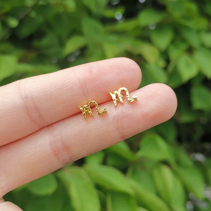 Scorpio Constellation Symbol Stud Earrings Jewelry Birthday Gifts