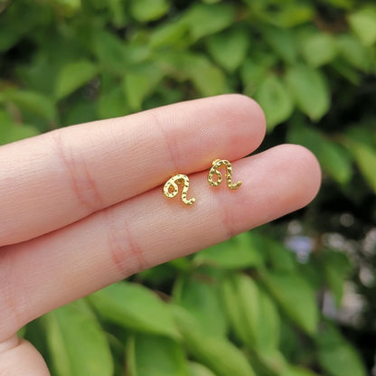 12 Constellation Symbol Stud Earrings Virgo Leo Libra Aquarius Zodiac Cartilage