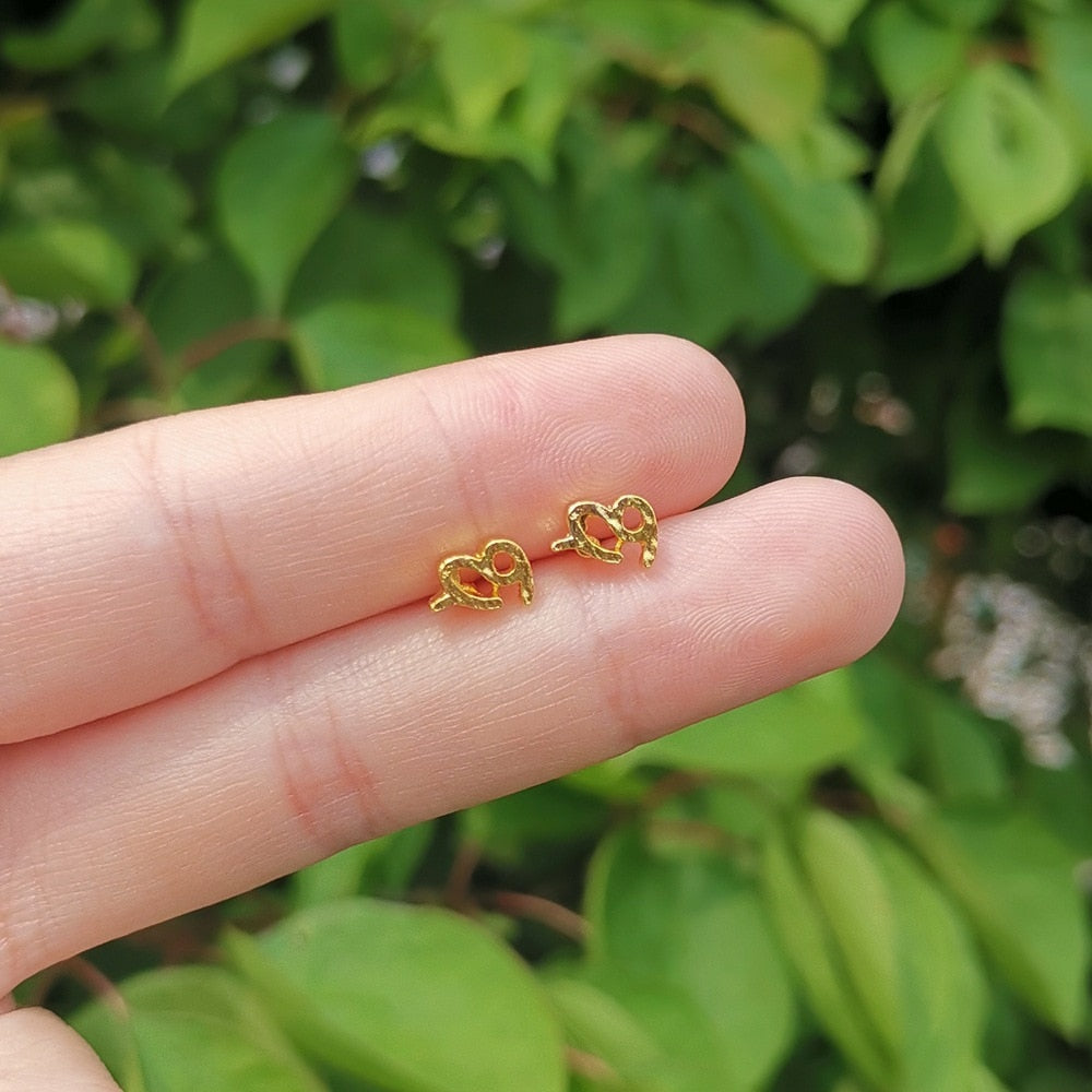 Capricorn Constellation Symbol Stud Earrings Jewelry Birthday Gifts