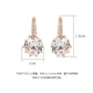 Rose Gold Color Crystal Ear Buckle Ear Studs Earrings Female Fashion Earrings