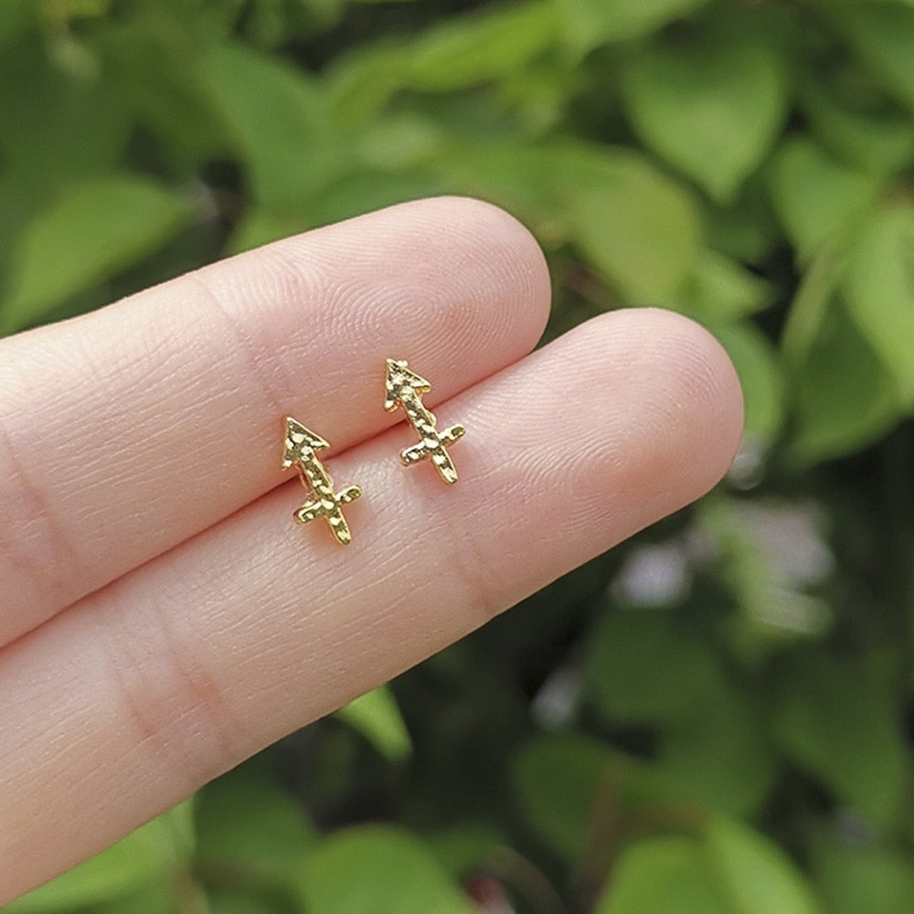 Sagittarius Constellation Symbol Stud Earrings Jewelry Birthday Gifts