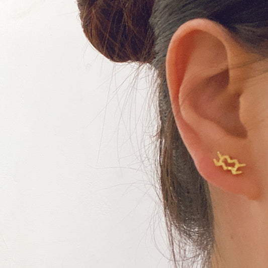 Aquarius Constellation Symbol Stud Earrings Jewelry Birthday Gifts