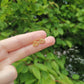 12 Constellation Symbol Stud Earrings Virgo Leo Libra Aquarius Zodiac Cartilage