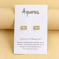 Twelve Constellation Earrings Gold And Silver 12 Zodiac